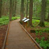 Review photo of Avalanche Campground — Glacier National Park by Carla S., July 20, 2016