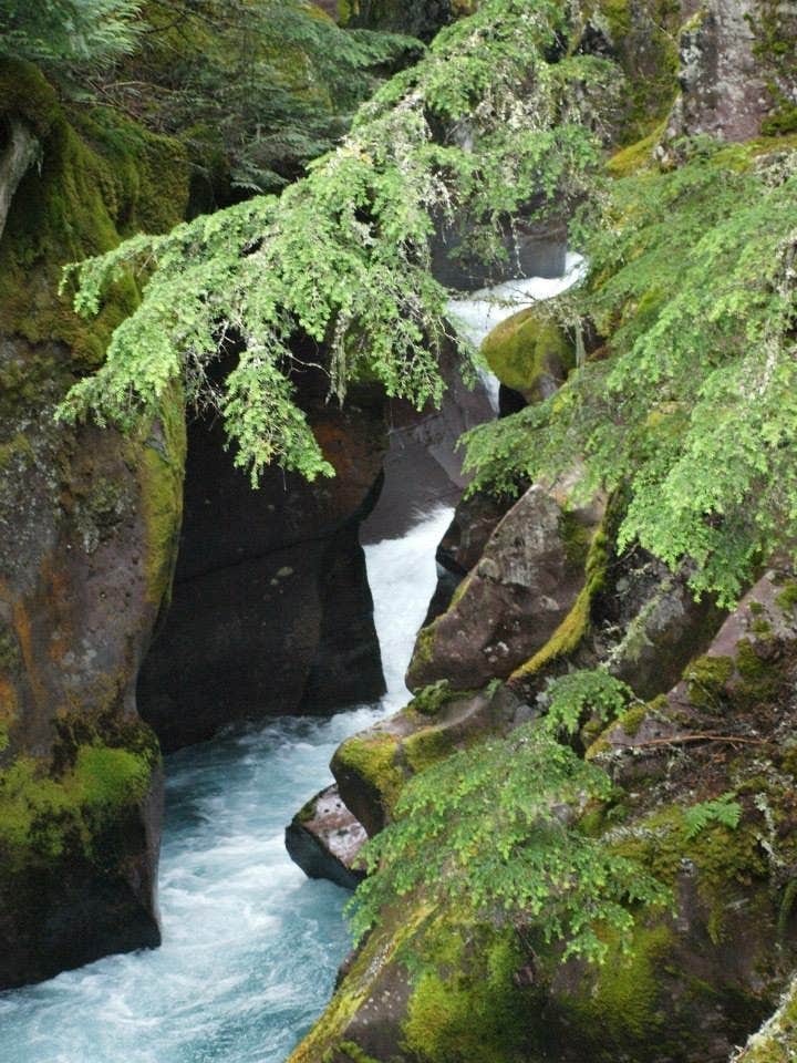 Avalanche creek campground hot sale