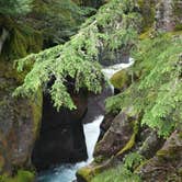 Review photo of Avalanche Campground — Glacier National Park by Carla S., July 20, 2016