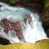 Review photo of Avalanche Campground — Glacier National Park by Carla S., July 20, 2016