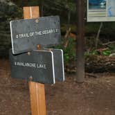 Review photo of Avalanche Campground — Glacier National Park by Carla S., July 20, 2016
