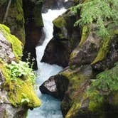 Review photo of Avalanche Campground — Glacier National Park by Carla S., July 20, 2016