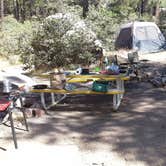 Review photo of Hualapai Mountain Park by Steve R., June 7, 2015