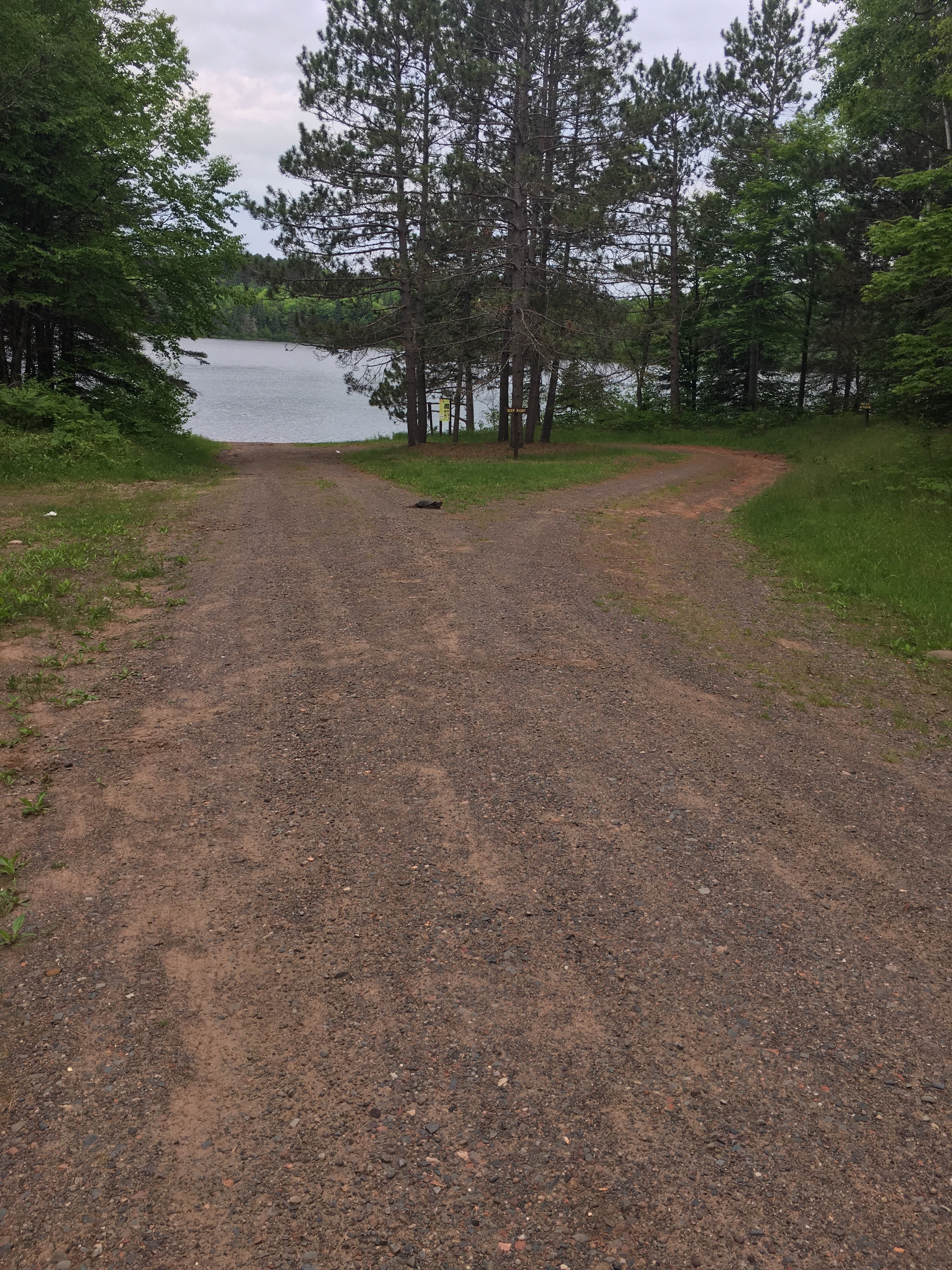 Camper submitted image from Moosehead Lake Campground - 3