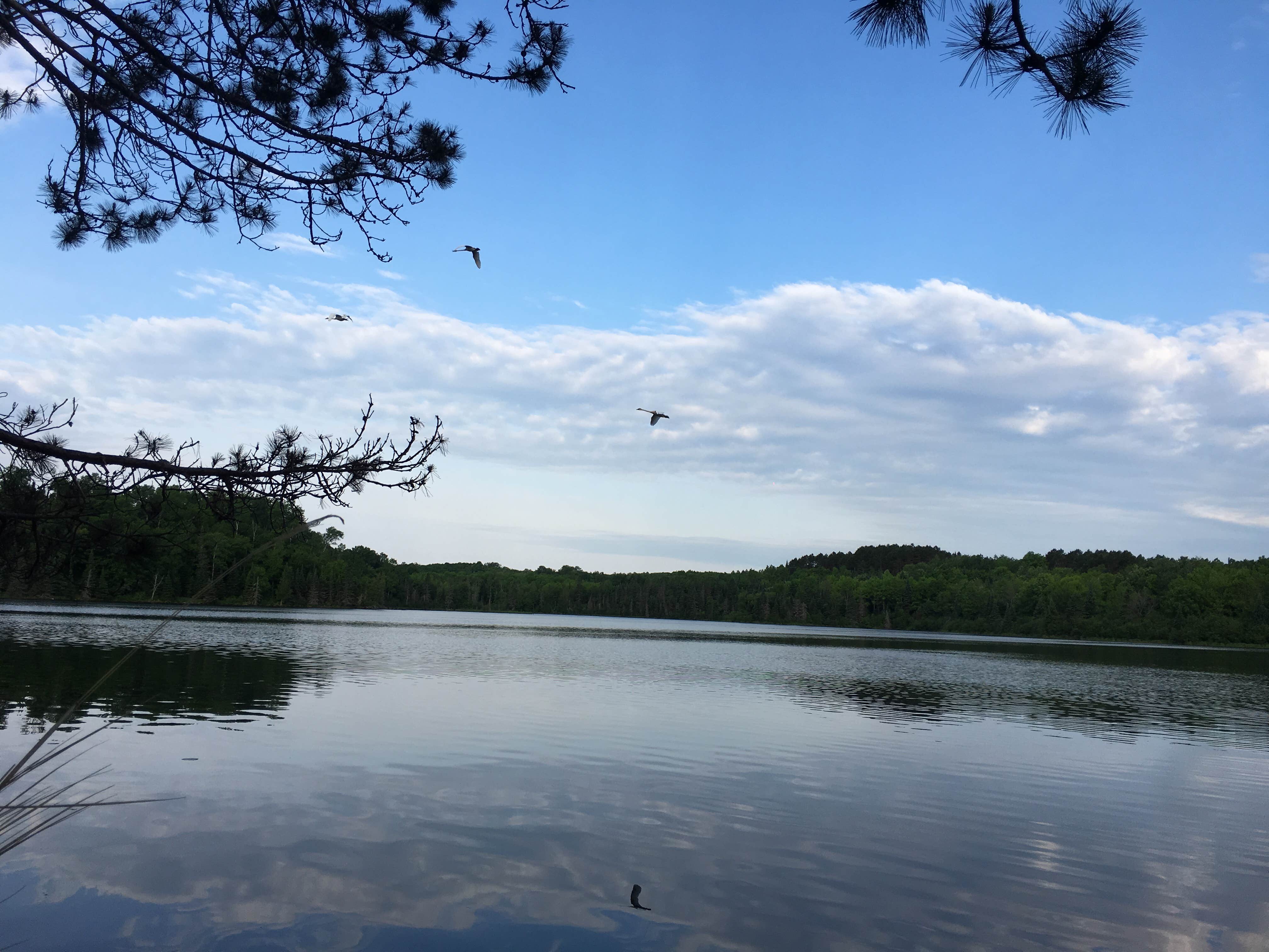 Camping near Big Lake Campground — Northern Highland State Forest: Moosehead Lake Campground, Presque Isle, Michigan