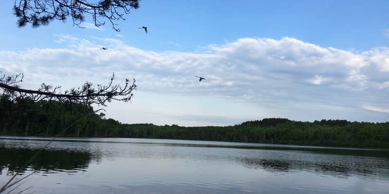 Camper submitted image from Moosehead Lake Campground