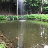 Review photo of Letchworth State Park Campground by Karen G., June 27, 2018