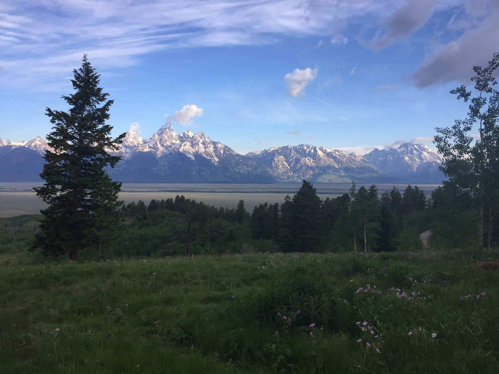 Camper-submitted photo at Shadow Mountain Dispersed Camping in Wyoming