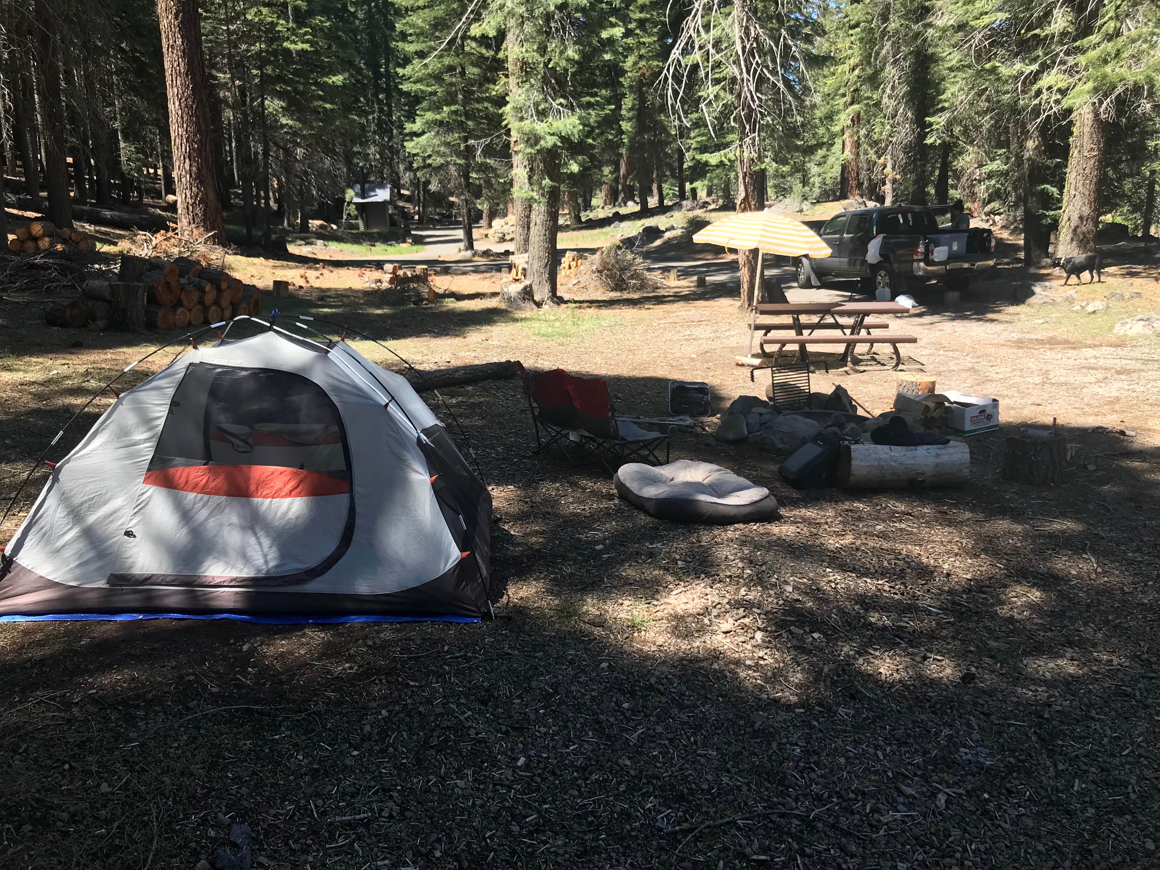 Darin D.'s photo at High Bridge Campground near Chester, CA