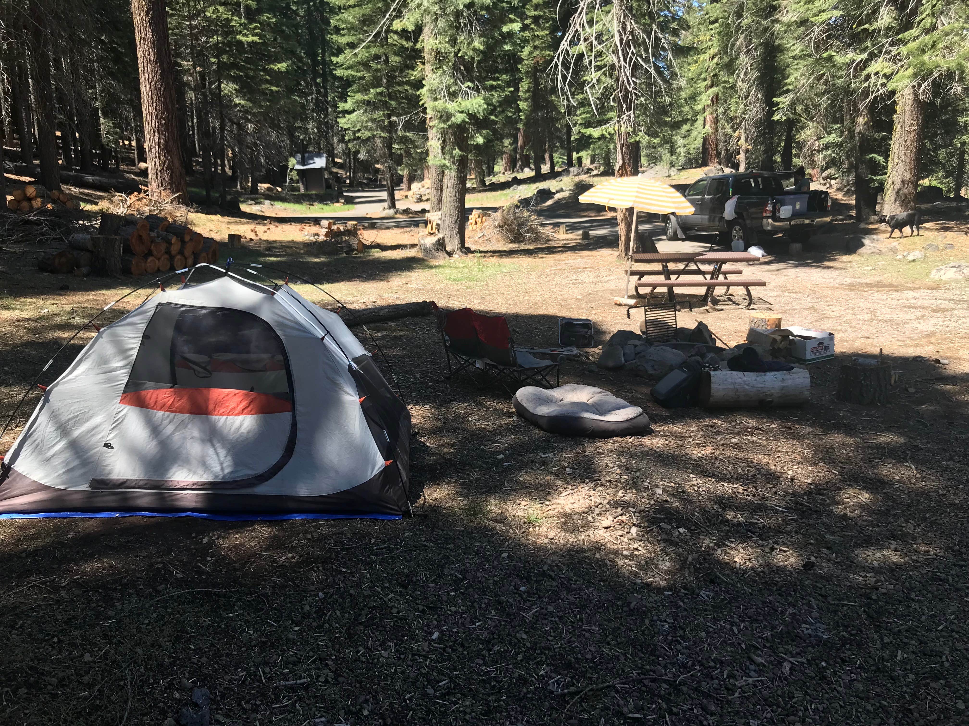 Camper submitted image from High Bridge Campground - 5