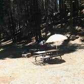 Review photo of High Bridge Campground by Darin D., June 27, 2018