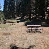 Review photo of High Bridge Campground by Darin D., June 27, 2018