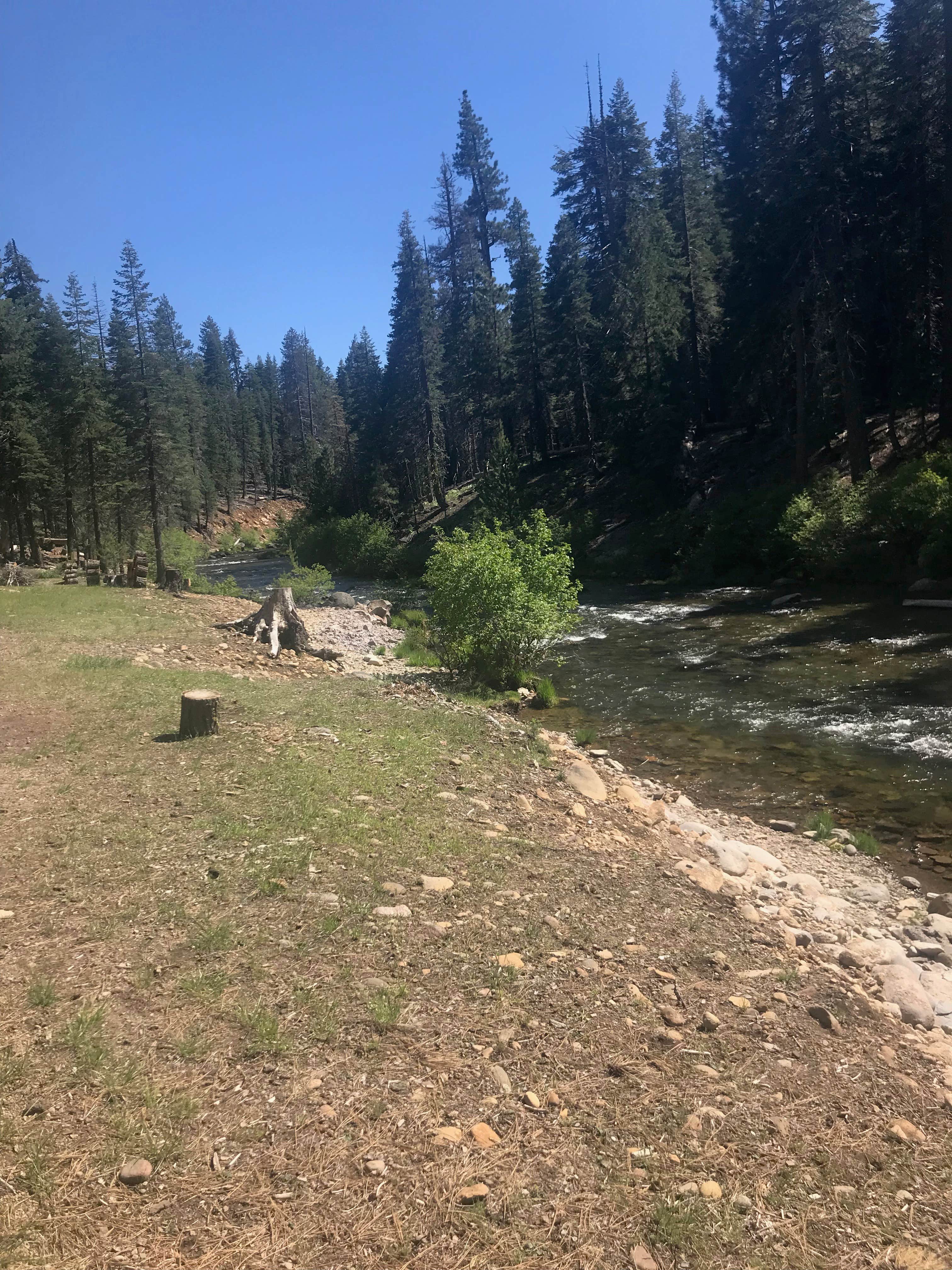 Camper-submitted photo at High Bridge Campground near Chester, CA