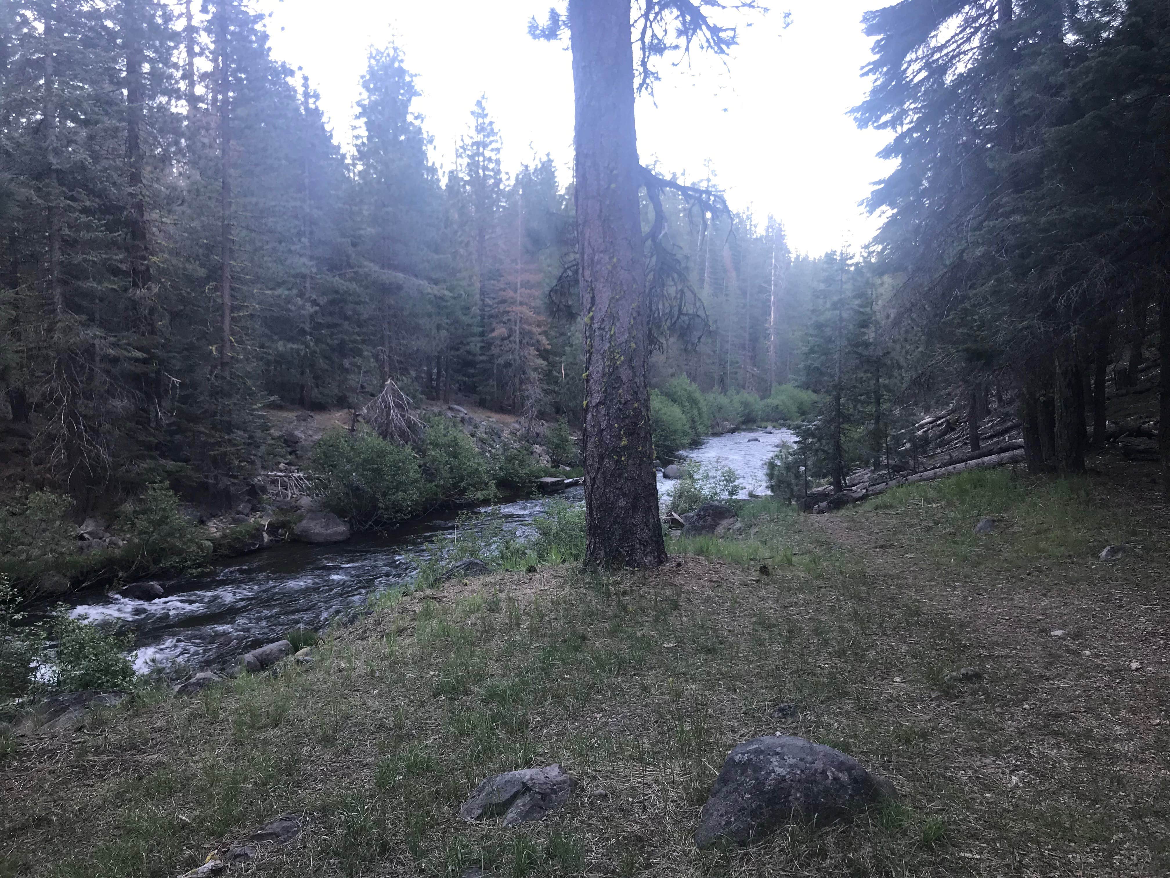 Camper-submitted photo at High Bridge Campground near Chester, CA