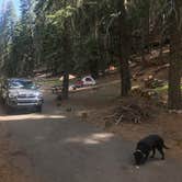 Review photo of High Bridge Campground by Darin D., June 27, 2018