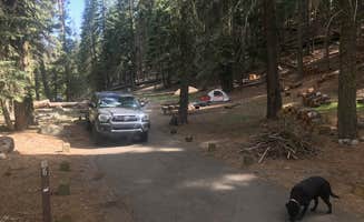 Darin D.'s photo at High Bridge Campground near Lassen National Forest