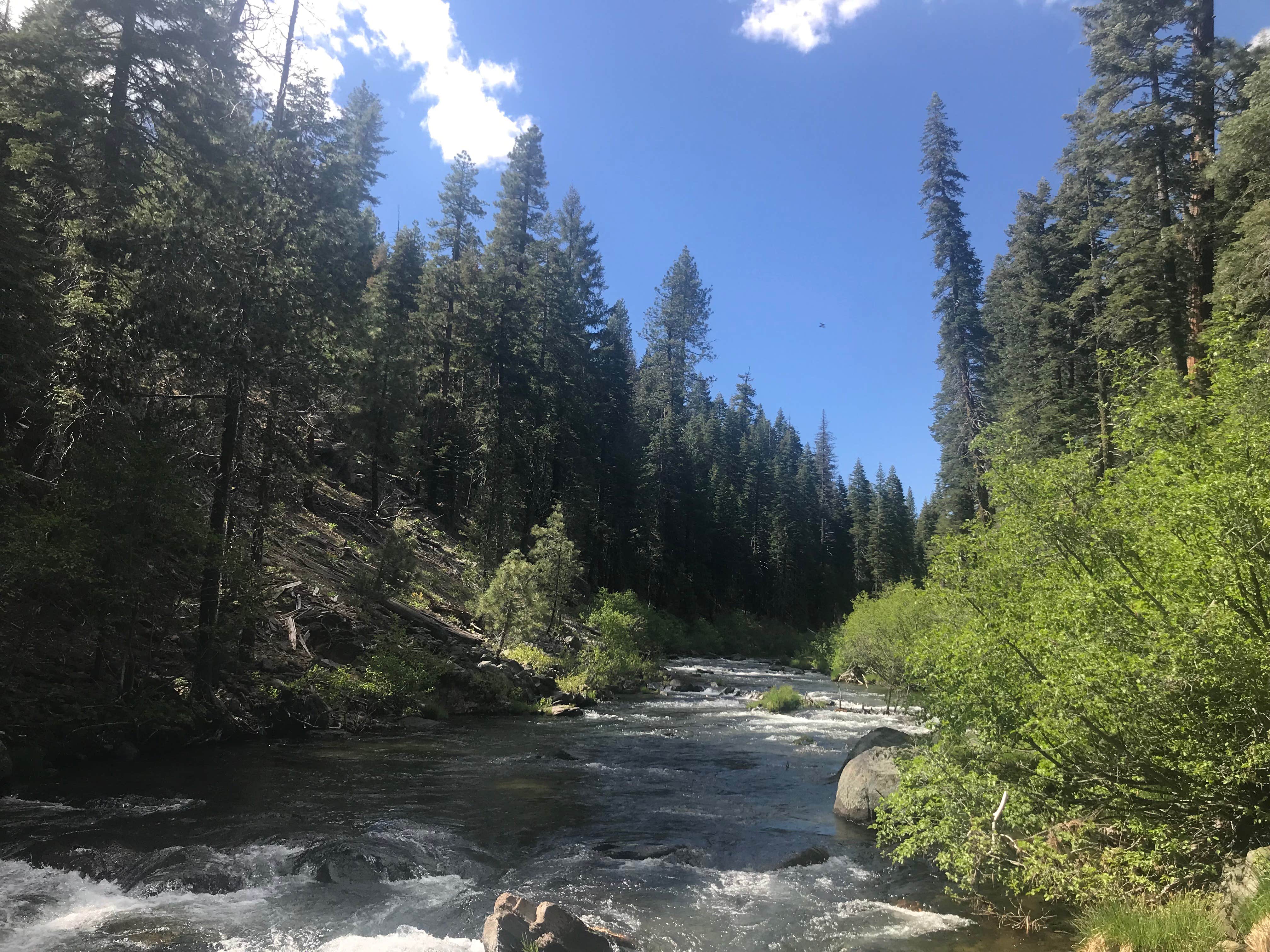 Camper-submitted photo at High Bridge Campground near Chester, CA