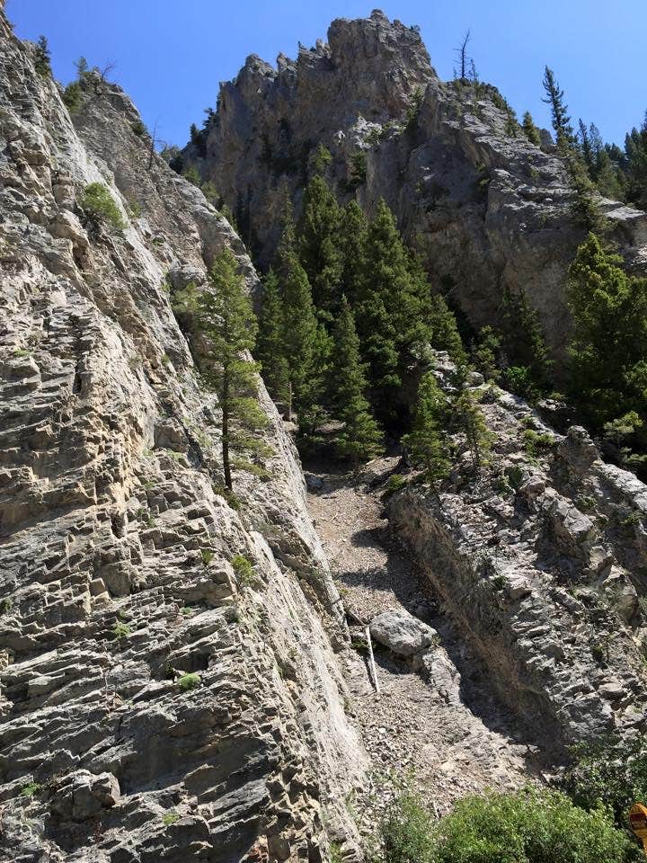 Camper-submitted photo at Vigilante Campground near Lewis and Clark National Forest