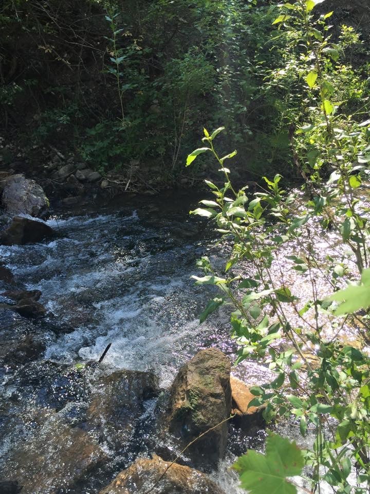 Vigilante Creek At Camp