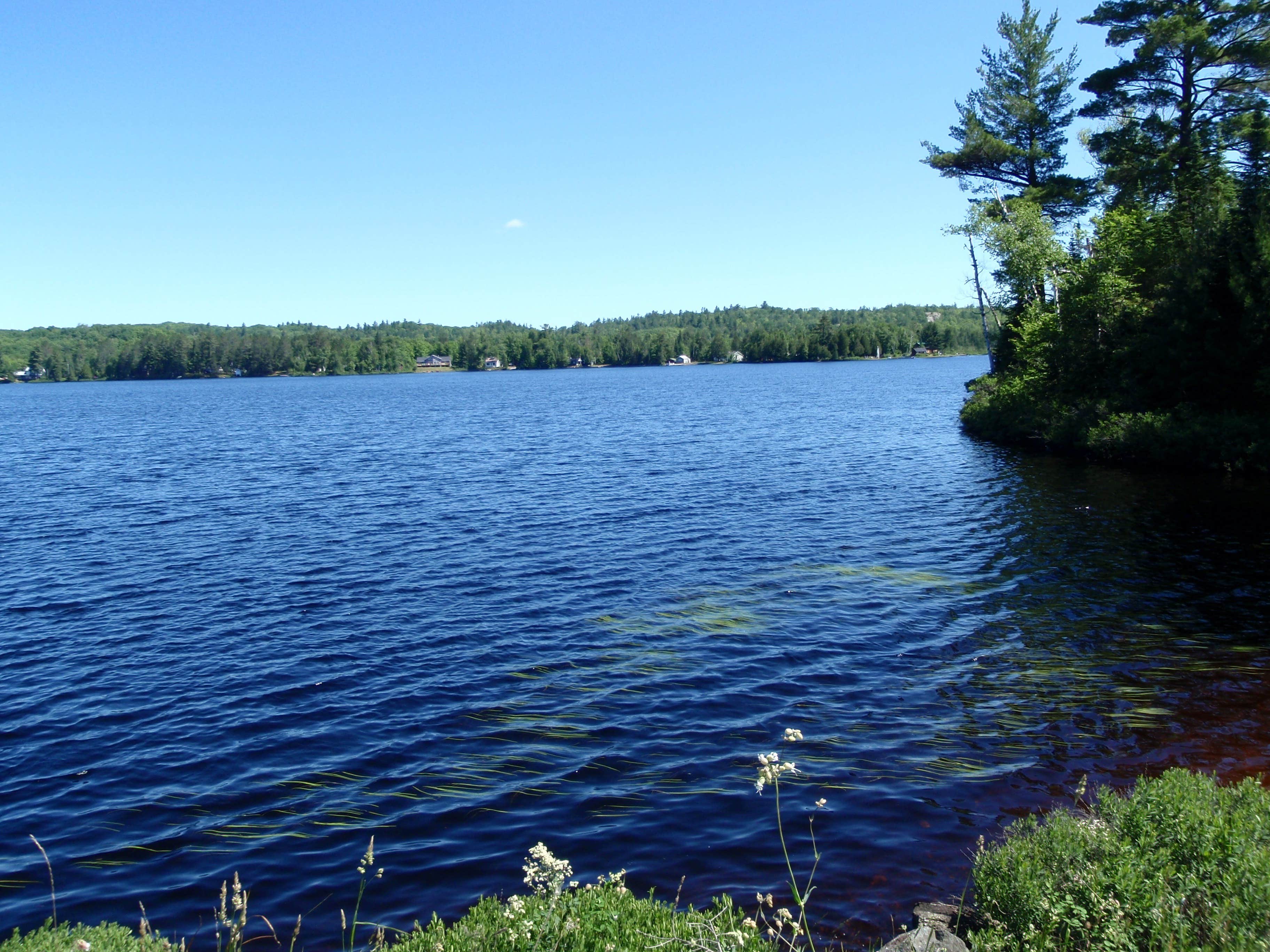 Camper-submitted photo at Van Riper State Park Campground near Big Bay, MI