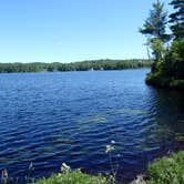 Review photo of Van Riper State Park Campground by Art S., July 20, 2016