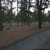 Review photo of Colorado Campground by Mary S., June 27, 2018