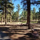 Review photo of Colorado Campground by Mary S., June 27, 2018