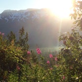 Review photo of Exit Glacier Campground — Kenai Fjords National Park by Joy W., July 20, 2016