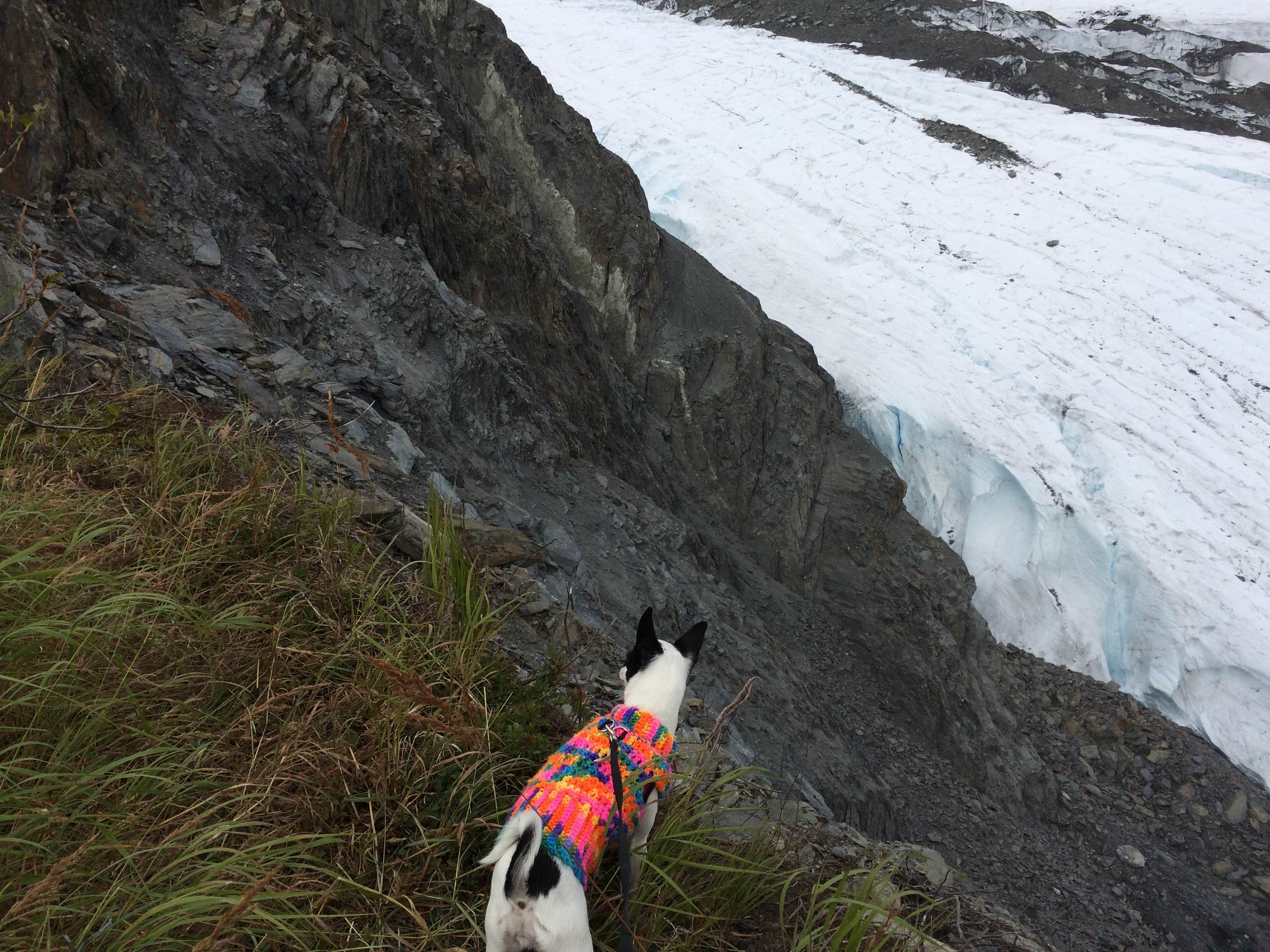 Camper submitted image from Valdez Glacier - 2