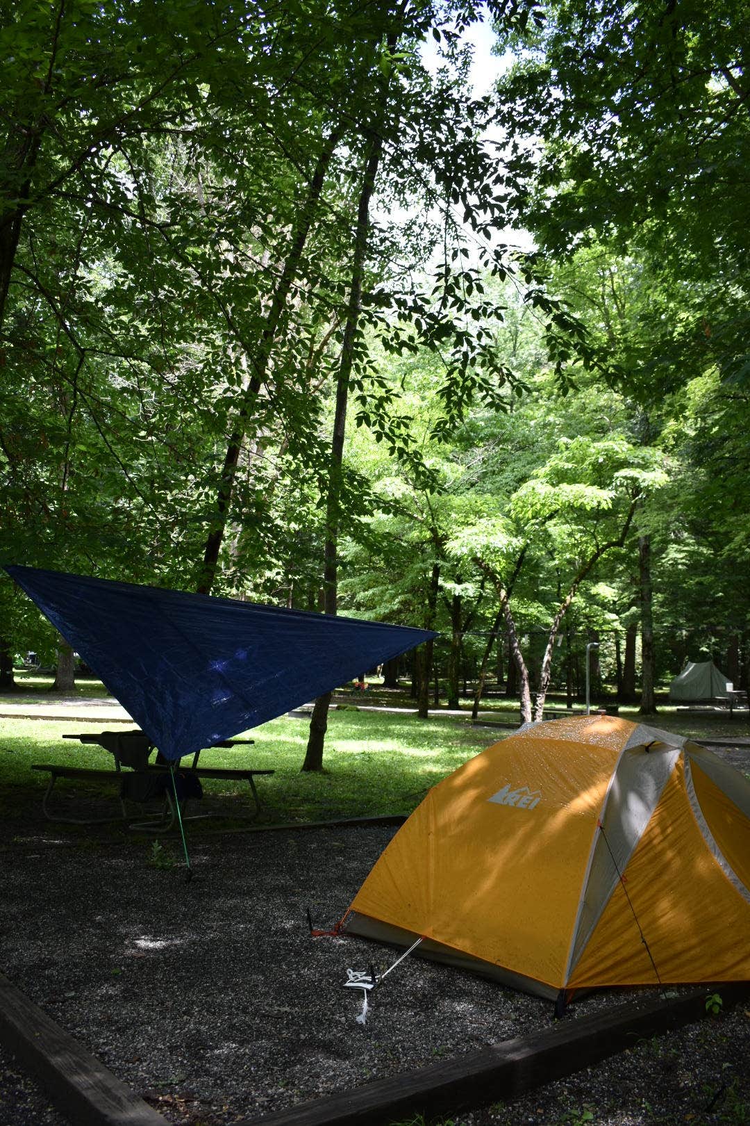 Camper submitted image from Smokemont Campground — Great Smoky Mountains National Park - 5