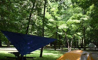 Stacy R.'s photo at Smokemont Campground — Great Smoky Mountains National Park near Cherokee, NC