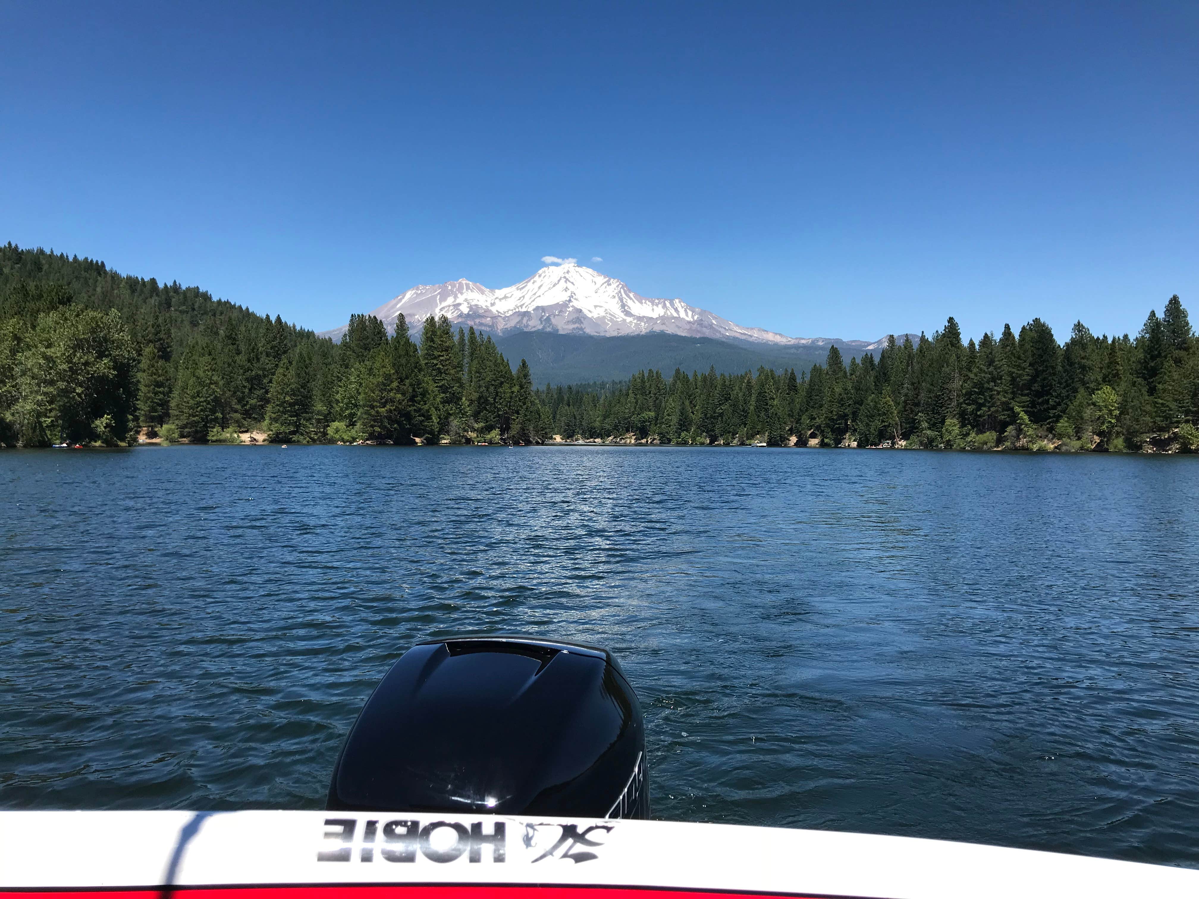 Lake Siskiyou Camp Resort  The Dyrt