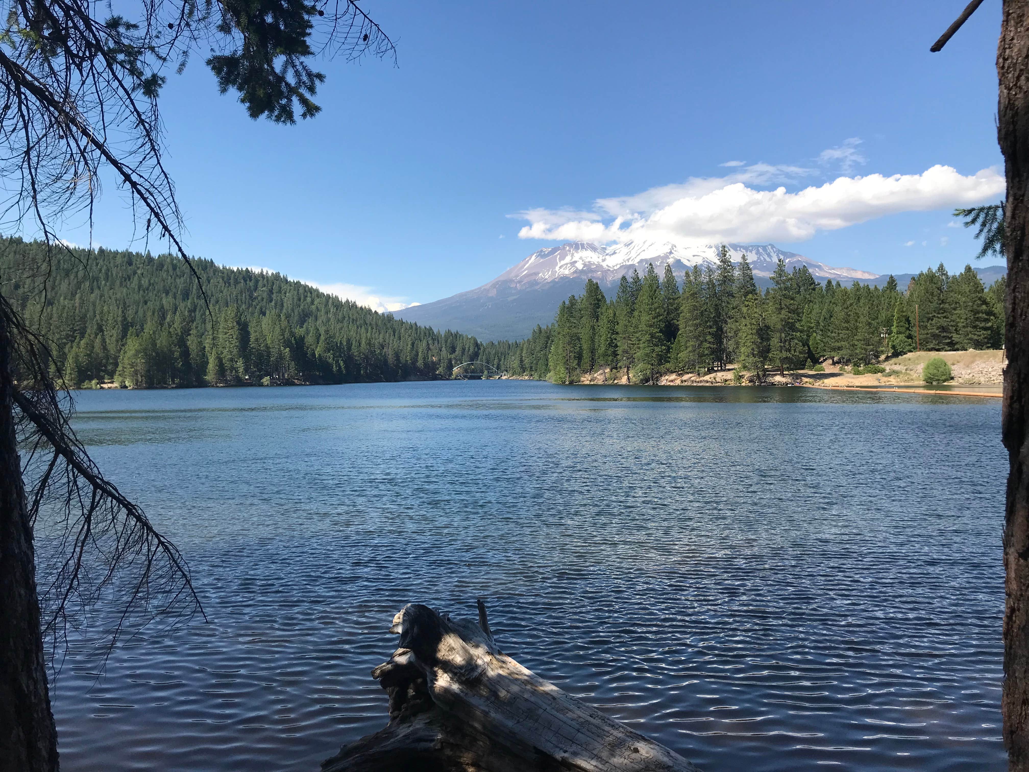 Camper submitted image from Lake Siskiyou Camp Resort - 3