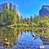 Review photo of Bridalveil Creek Campground — Yosemite National Park by Buck R., June 28, 2018