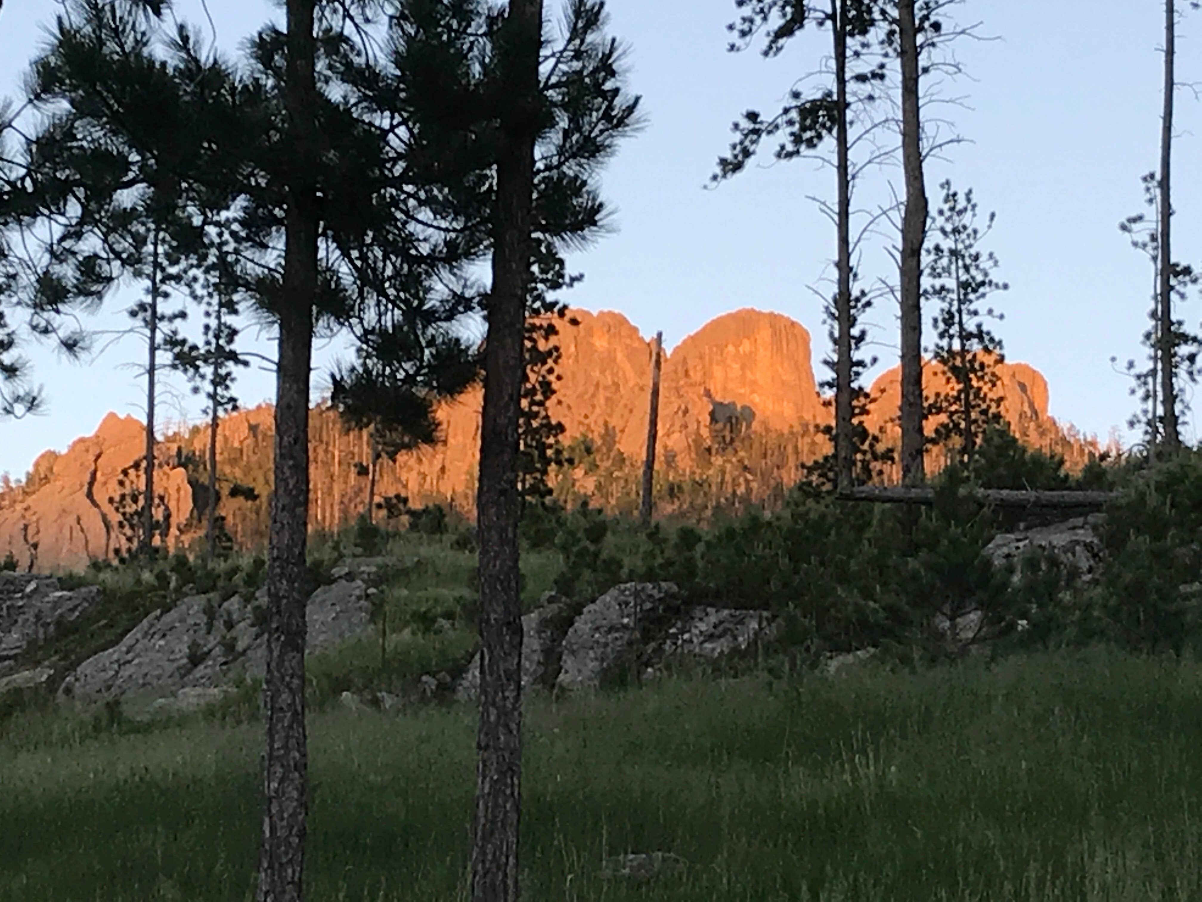 Camper submitted image from Horse Thief Campground and RV Resort - 2