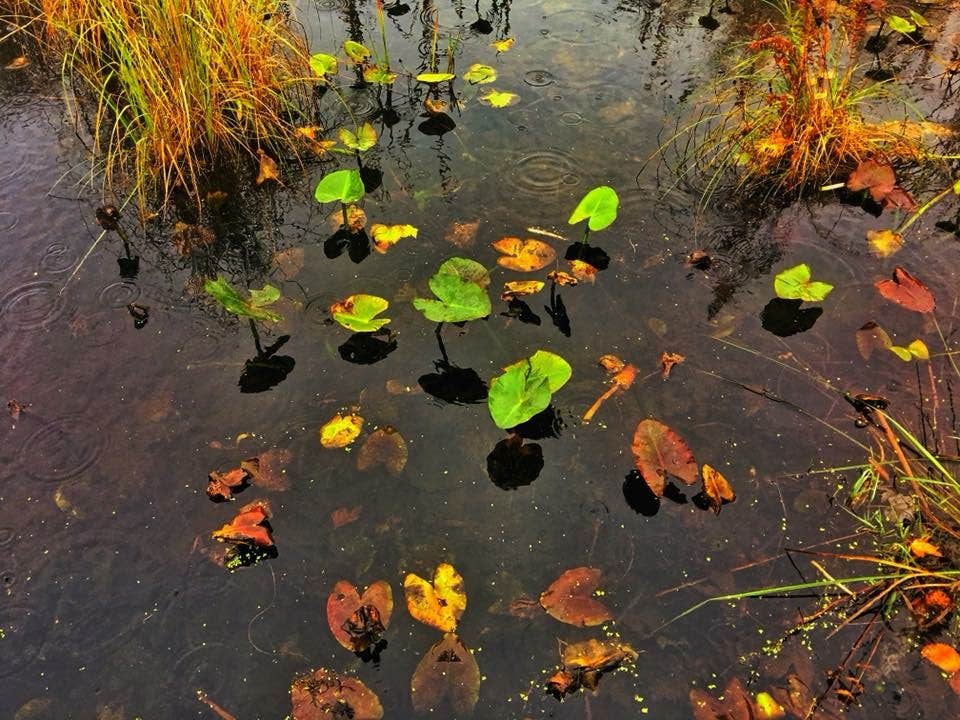 Camper-submitted photo at Pokagon State Park Campground in Indiana