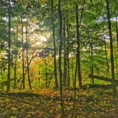 Review photo of Pokagon State Park Campground by Buck R., June 28, 2018