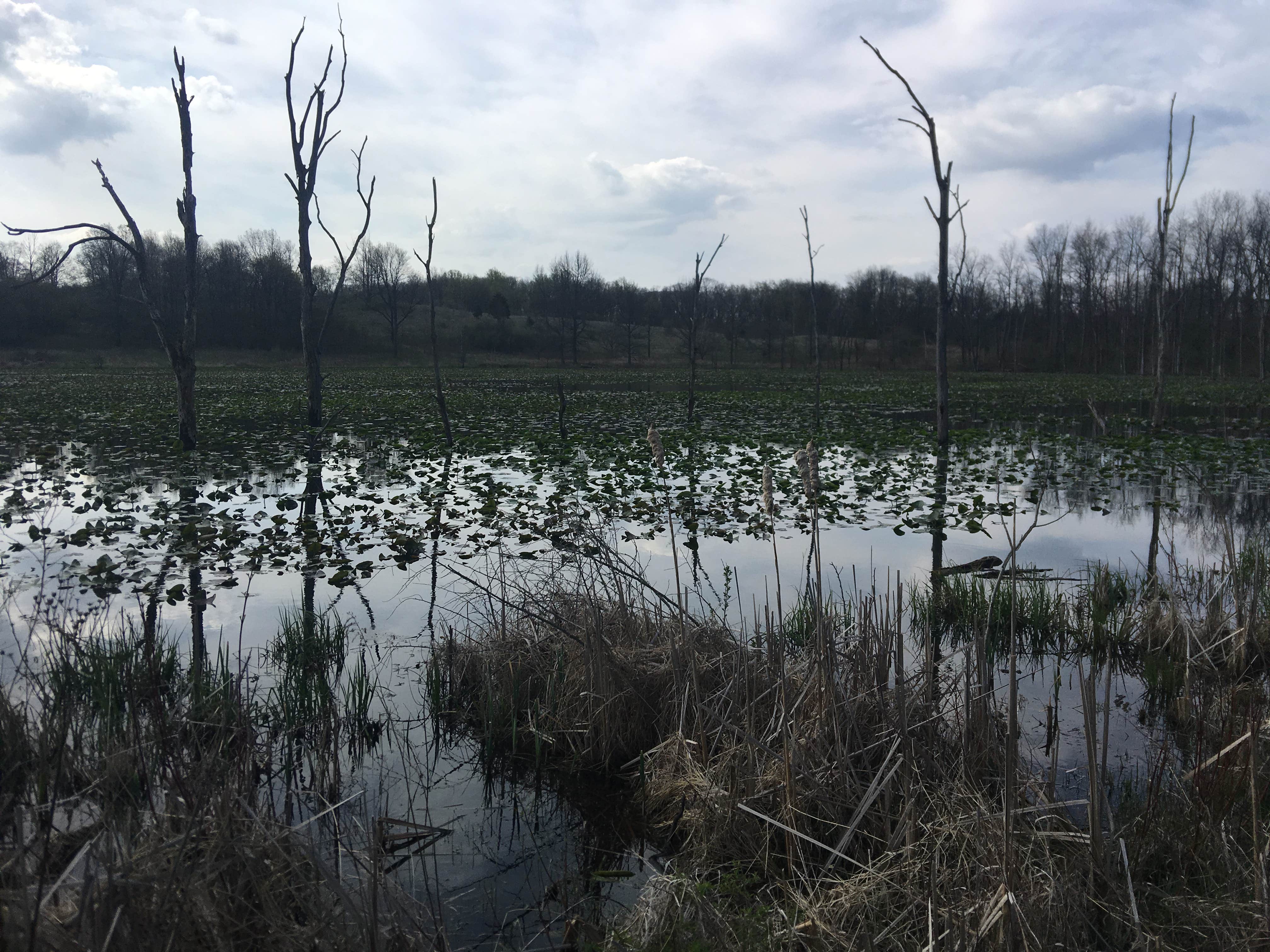 Pokagon State Park Campground