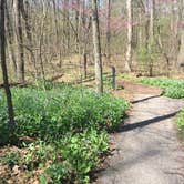 Review photo of Pokagon State Park Campground by Buck R., June 28, 2018
