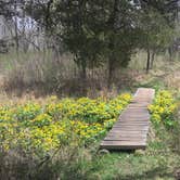 Review photo of Pokagon State Park Campground by Buck R., June 28, 2018