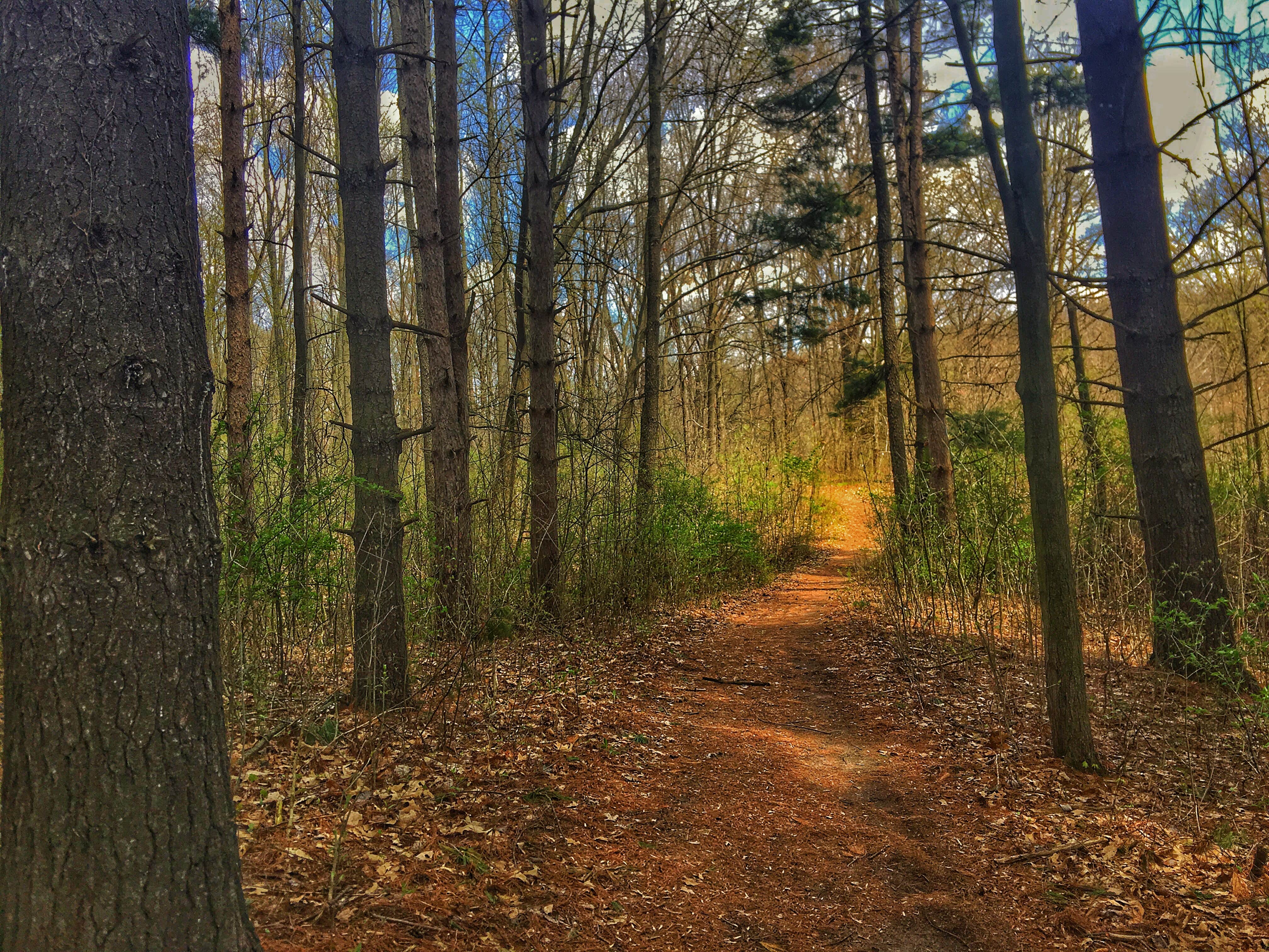 Pokagon State Park Campground