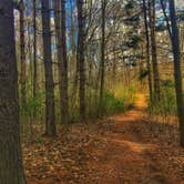 Review photo of Pokagon State Park Campground by Buck R., June 28, 2018