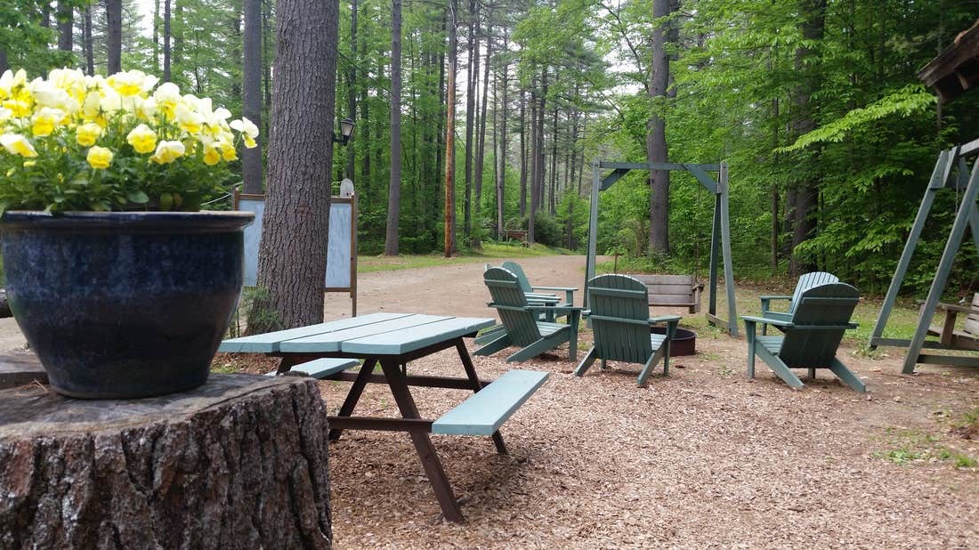 Camper submitted image from Tree Farm Campground - 3