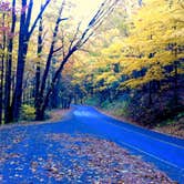 Review photo of Cades Cove Campground by Buck R., June 28, 2018