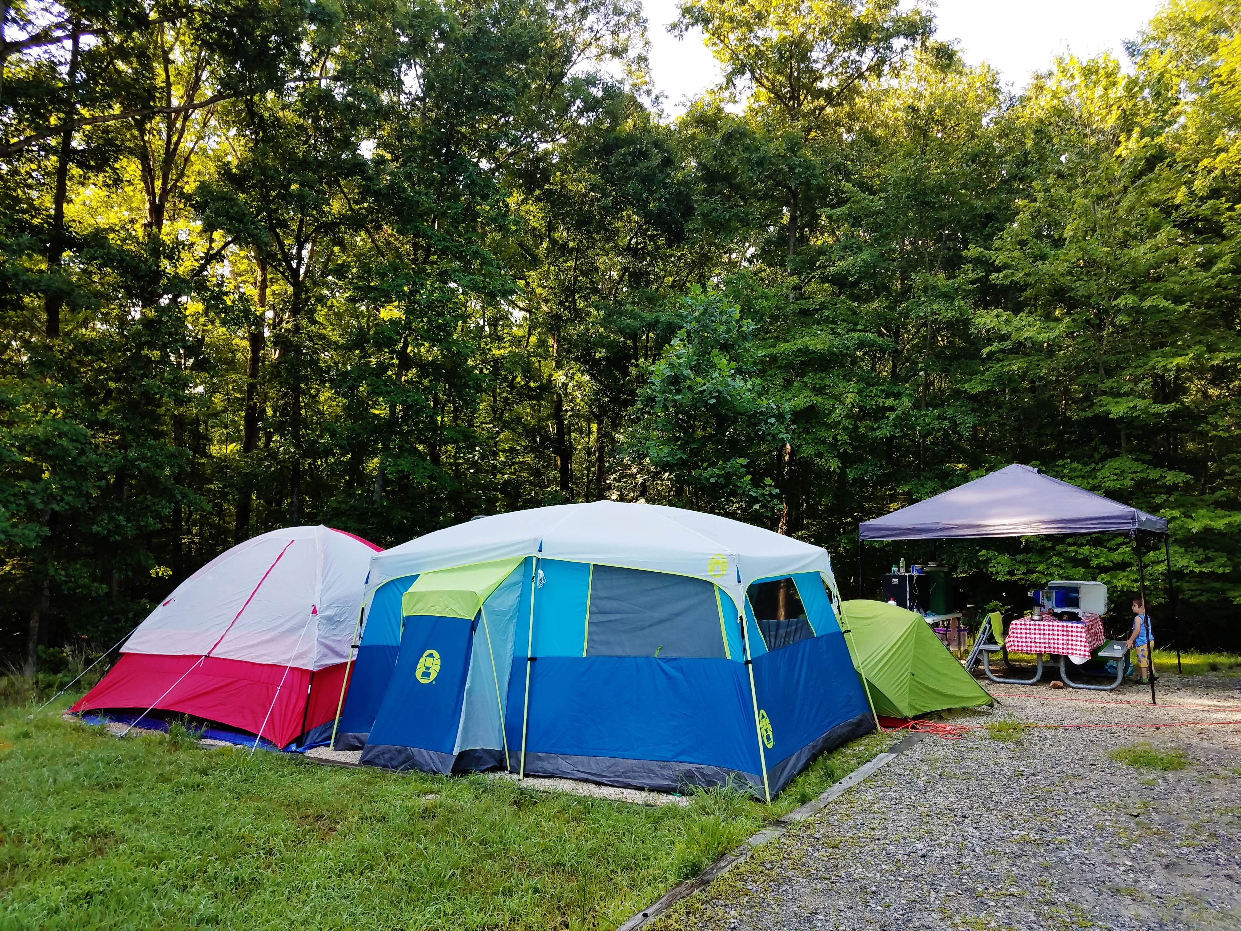 Camper submitted image from Lake Anna State Park Campground - 4