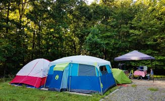 Myron C.'s photo at Lake Anna State Park Campground near Ashland, VA