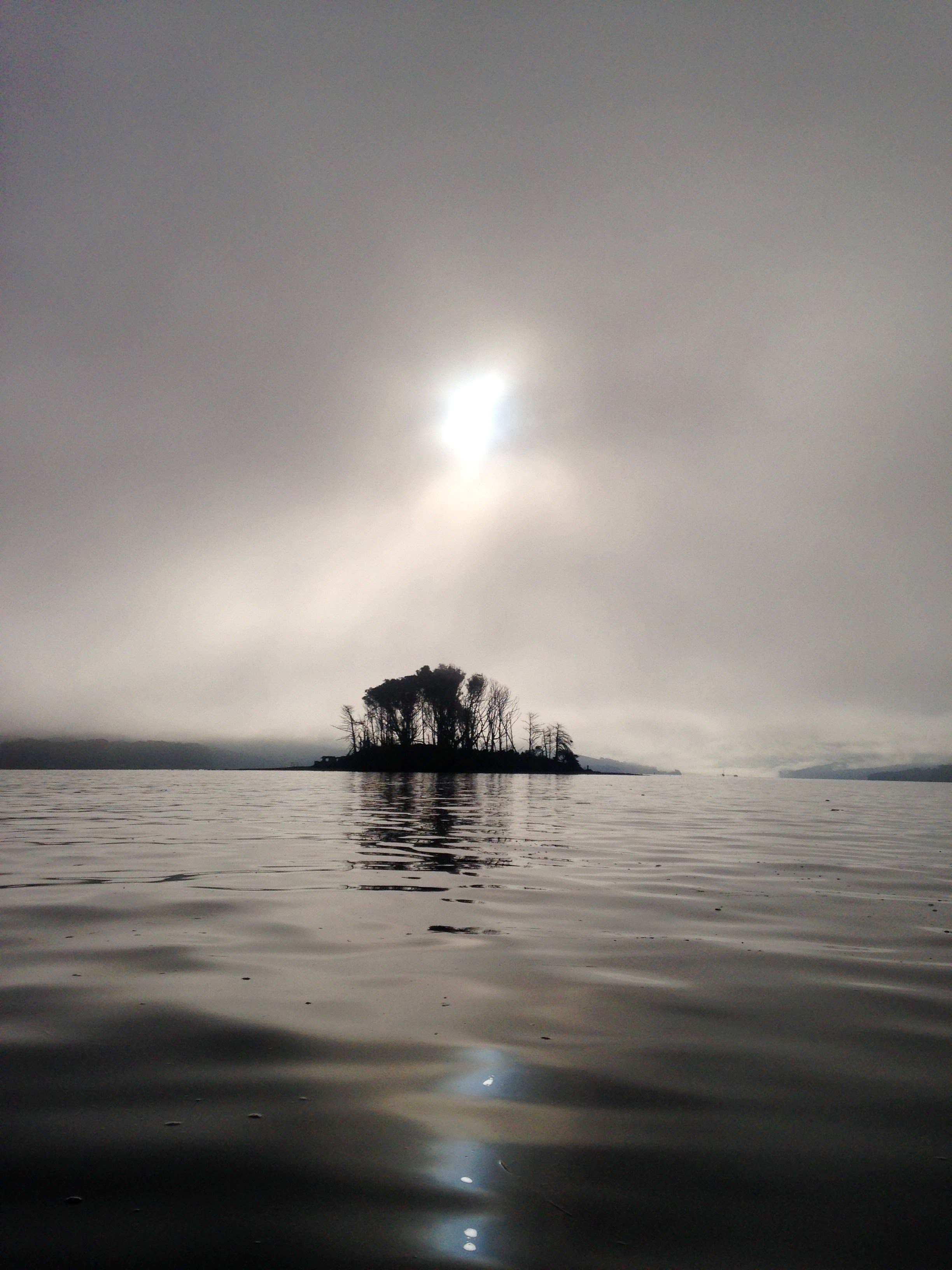 Camping near Sky Campground — Point Reyes National Seashore: Coast Campground — Point Reyes National Seashore, Point Reyes National Seashore, California