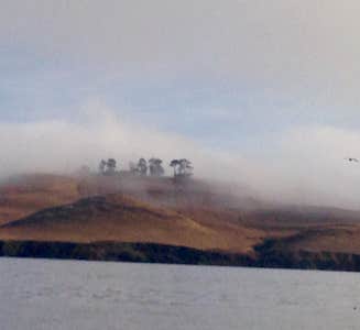 Camper-submitted photo from Coast Campground — Point Reyes National Seashore