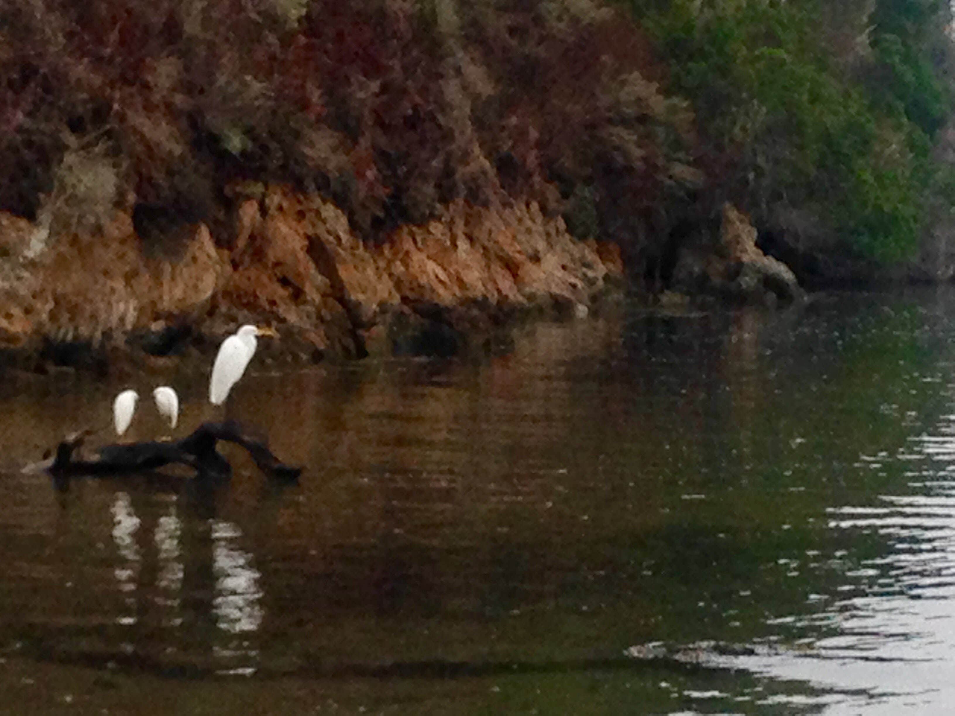Camper-submitted photo at Coast Campground — Point Reyes National Seashore near Point Reyes National Seashore