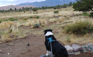 Cindy C.'s photo of camping with pets at Pinon Flats Campground — Great Sand Dunes National Park near Great Sand Dunes National Park And Preserve